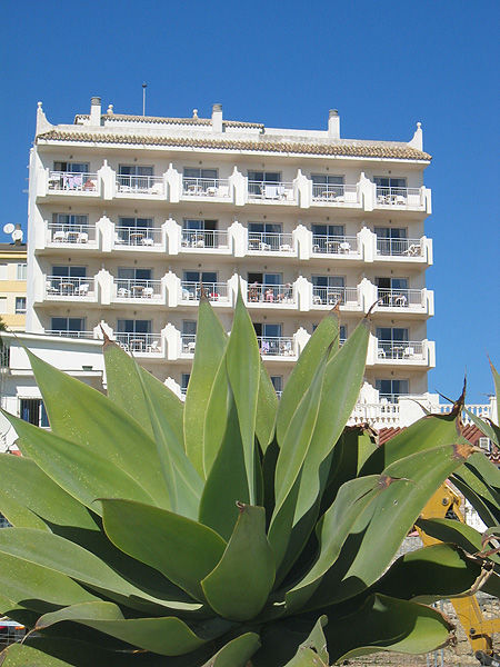 Sunny Apartment Benalmadena